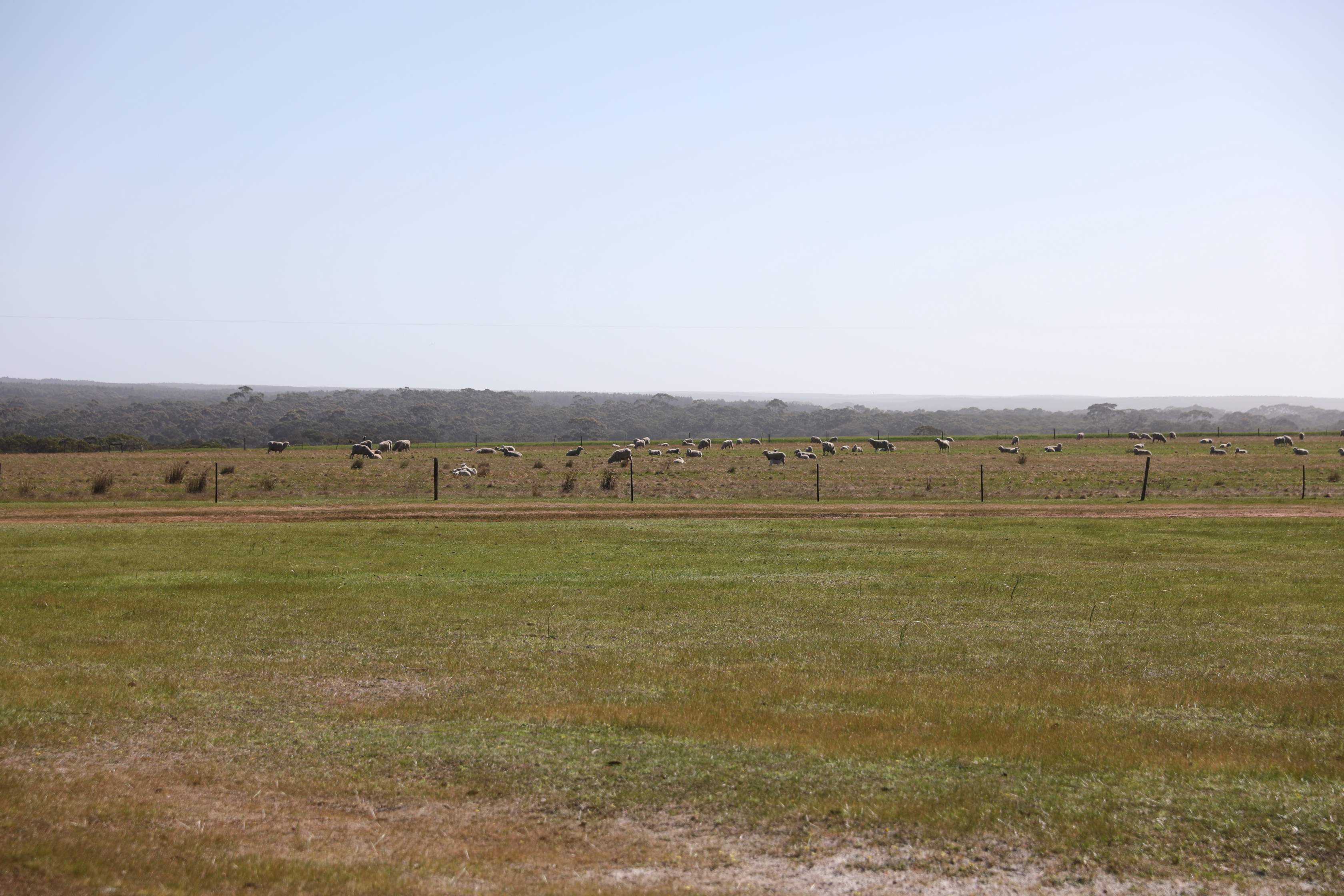 2019 10 02 09 27 36 Canon EOS 5D Mark IV 0001